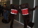 Double Domo-kun!